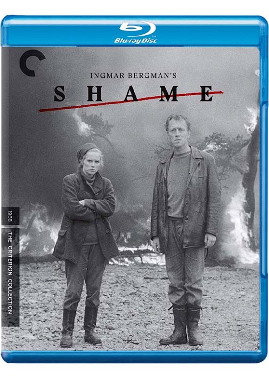 Cover for Criterion Collection · Shame/bd (Blu-ray) [United States edition] (2019)
