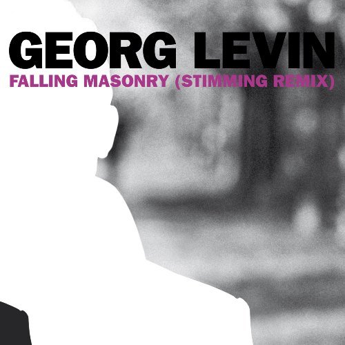 Cover for Georg Levin · Everything Must Change (LP) (2010)