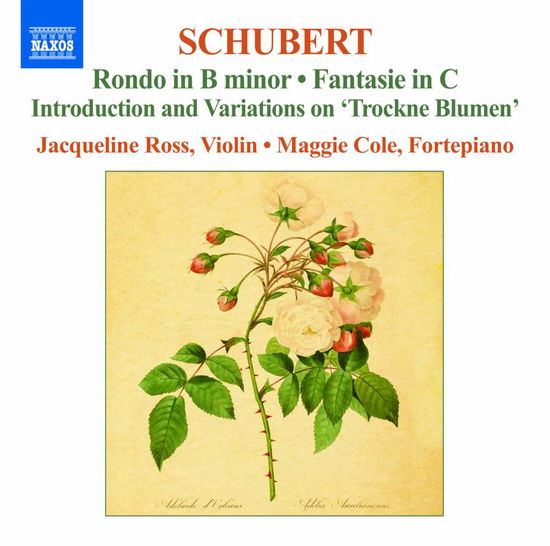 Works for Violin Vol.2 - Franz Schubert - Muziek - NAXOS - 0730099718219 - 2012