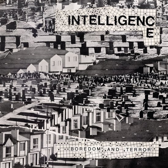 Boredom & Terror / Lets Toil - Intelligence - Music - IN THE RED - 0759718526219 - September 16, 2014