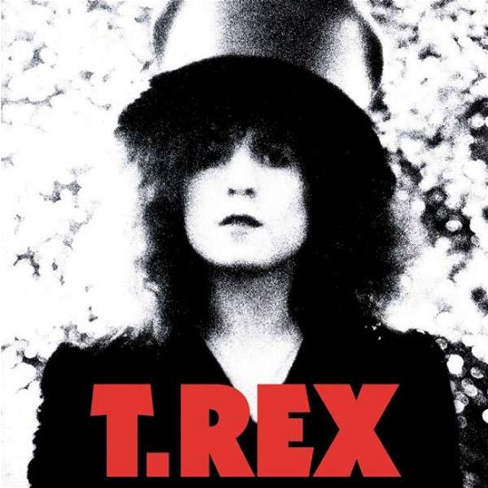 Cover for T-rex · Slider (LP) (2010)
