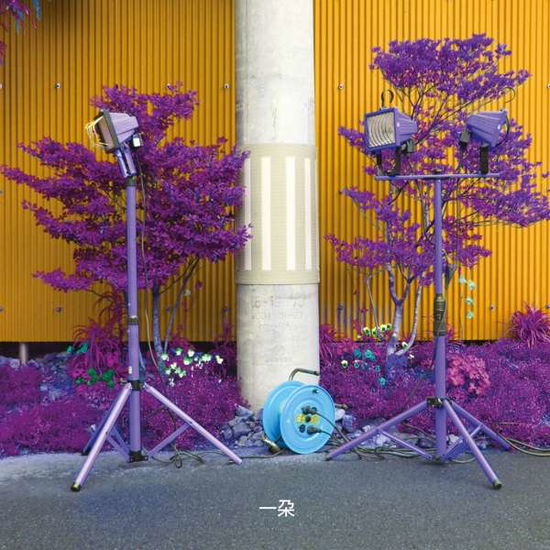 Cover for Ishibashi,eiko &amp; Gray,darin · Ichida (LP) (2018)
