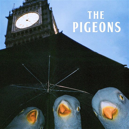 Cover for Pigeons · Bird Brain Gang (LP) (2023)