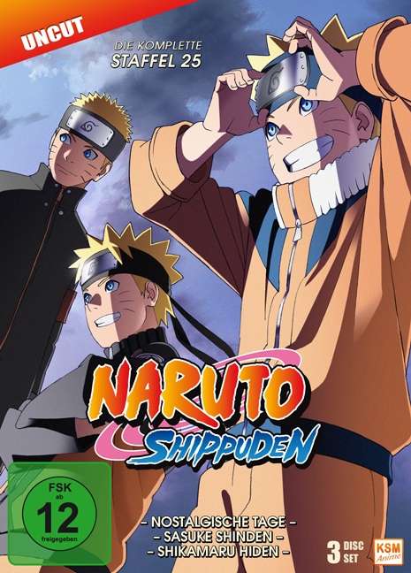 Naruto Shippuden - Staffel 25 (Folgen 700-713) - N/a - Movies - KSM Anime - 4260495769219 - May 22, 2019