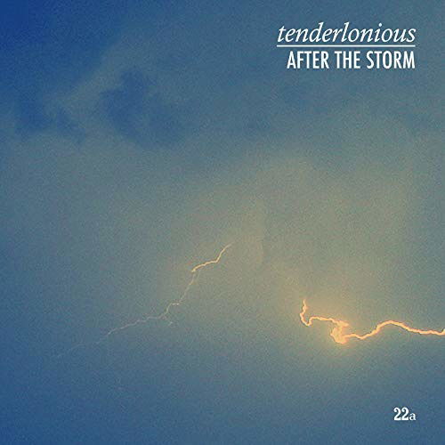 Cover for Tenderlonious · After the storm (LP) (2020)