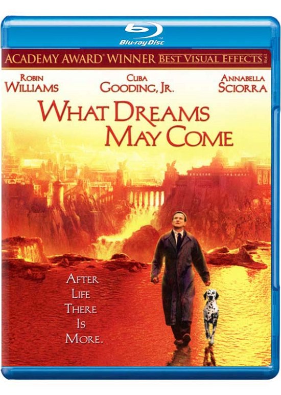 What Dreams May Come - Robin Williams / Cuba Gooding, Jr. / Annabella Sciorra - Elokuva - Universal - 5053083042219 - perjantai 28. elokuuta 2015