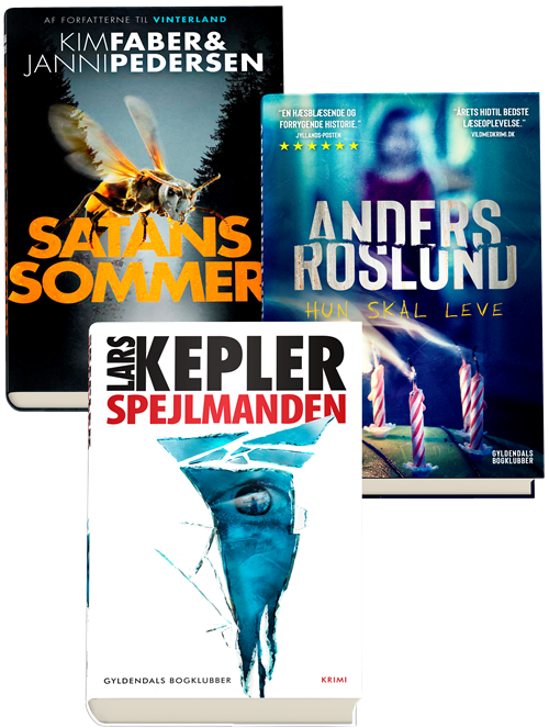 Cover for Ingen Forfatter · Bestsellerkrimier 2020 pakke (Book) [1e uitgave] (2021)