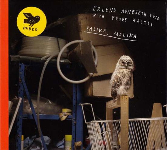 Cover for Erlend Apneseth Trio &amp; Frode Haltli · Salika. Molika (LP) (2019)