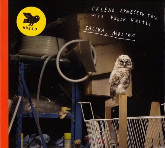 Salika, Molika - Erlend -Trio- Apneseth - Musik - GRAPPA - 7033662036219 - May 24, 2019