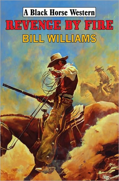 Cover for Bill Williams · Revenge by Fire (Hardcover Book) (2010)