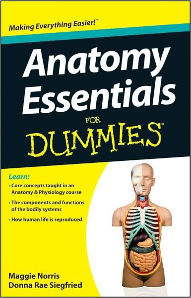 Cover for Norris · Anatomy Essentials For Dummies (Buch) (2012)