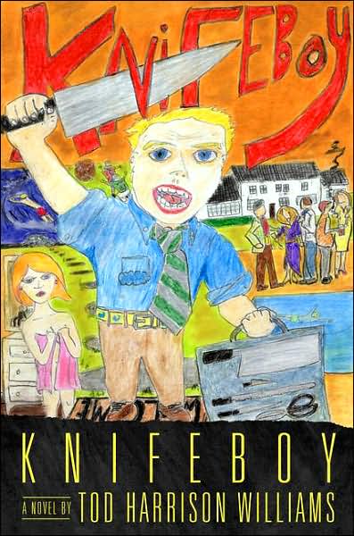 Knifeboy: a Novel - Tod Harrison Williams - Livros - Simon & Schuster - 9781416538219 - 28 de agosto de 2007