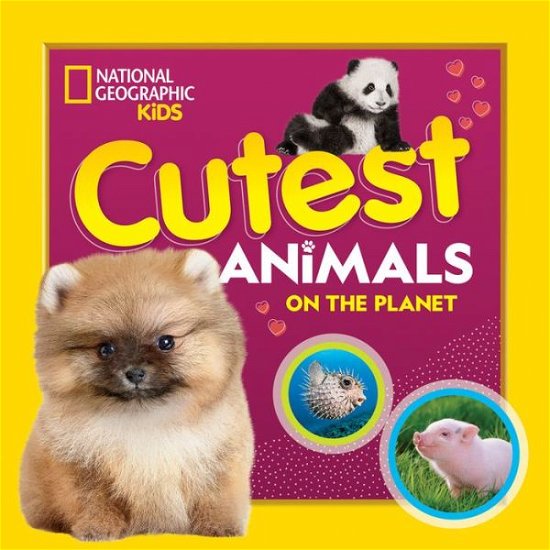 Cutest Animals on the Planet - National Geographic Kids - Bøger - National Geographic Kids - 9781426339219 - 9. marts 2021