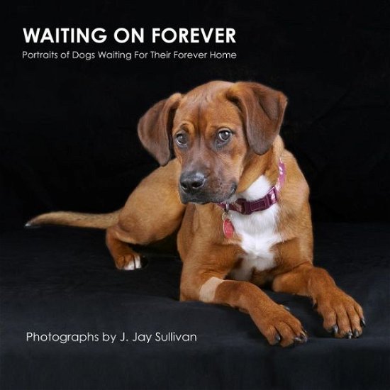 Cover for J Jay Sullivan · Waiting on Forever: Portraits of Dogs Waiting for Their Forever Home (Paperback Bog) (2014)