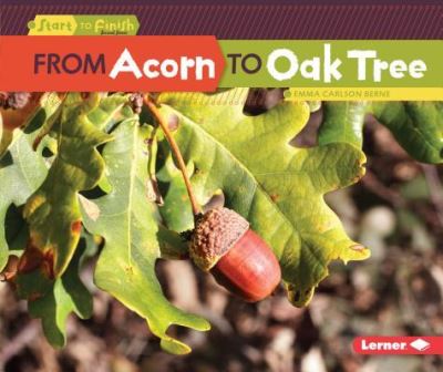 Cover for Emma Carlson Berne · From Acorn to Oak Tree (Paperback Book) (2017)