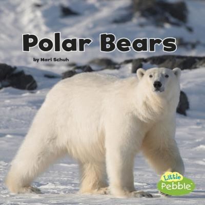 Cover for Mari Schuh · Polar Bears (Hardcover Book) (2017)