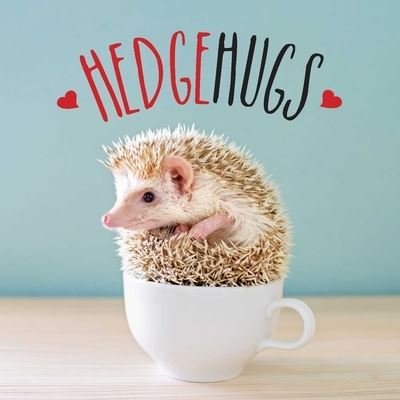Cover for Andrews Mcmeel Publishing · Hedgehugs (Hardcover bog) (2020)