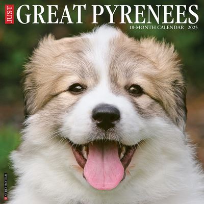 Just Great Pyrenees 2025 12 X 12 Wall Calendar - Willow Creek Press - Marchandise - Willow Creek Press Calendars - 9781549243219 - 10 septembre 2024