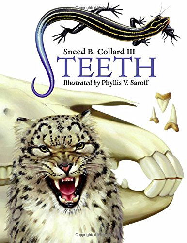 Teeth - Collard, Sneed B., III - Books - Charlesbridge Publishing,U.S. - 9781580891219 - February 1, 2008