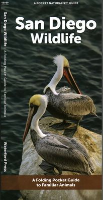 Cover for Waterford Press · San Diego Wildlife: A Folding Pocket Guide to Familiar Animals (Pamphlet) (2023)