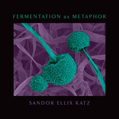 Cover for Sandor Ellix Katz · Fermentation as Metaphor: From the Author of the Bestselling &quot;The Art of Fermentation&quot; (Gebundenes Buch) (2020)