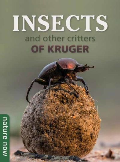 Cover for Joan Young · Insects and other Critters of Kruger - Nature Now (Paperback Book) (2023)