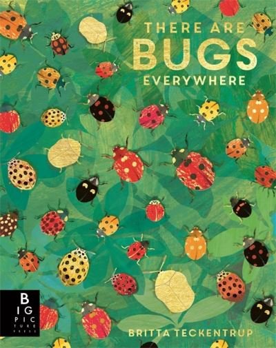 There are Bugs Everywhere - Lily Murray - Books - Templar Publishing - 9781787418219 - February 3, 2022