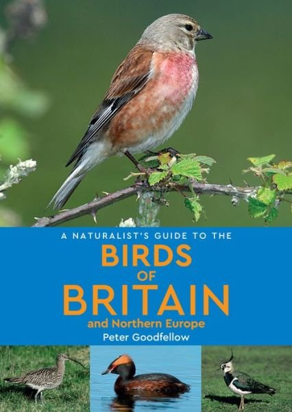 Cover for Peter Goodfellow · A Naturalist's Guide to the Birds of Britain and Northern Europe (2nd edition) - Naturalist's Guide (Paperback Bog) [2 Revised edition] (2019)