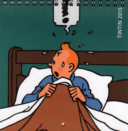 Tintin lille vægkalender 2015 - Hergé - Bøger - Moulinsart - 9782874243219 - 1. september 2014