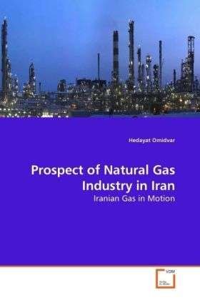 Cover for Omidvar · Prospect of Natural Gas Industr (Bok)