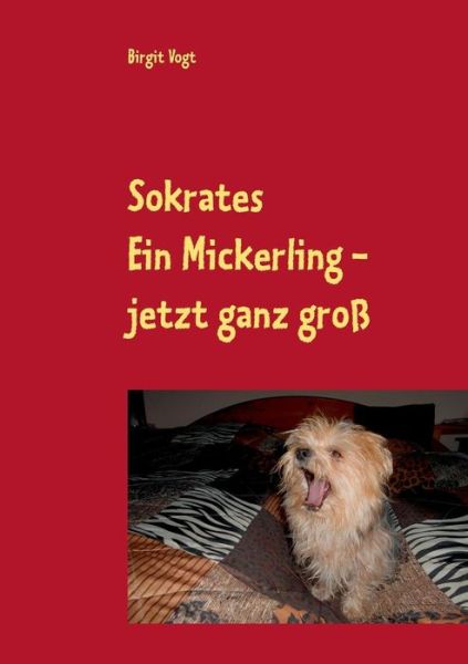 Cover for Birgit Vogt · Sokrates Ein Mickerling - Jetzt Ganz Gross (Paperback Book) (2015)