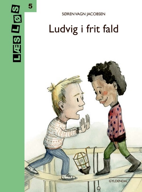 Læs løs 5: Ludvig i frit fald - Søren Vagn Jacobsen - Books - Gyldendal - 9788702261219 - April 20, 2018