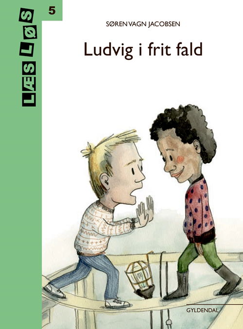 Læs løs 5: Ludvig i frit fald - Søren Vagn Jacobsen - Bücher - Gyldendal - 9788702261219 - 20. April 2018
