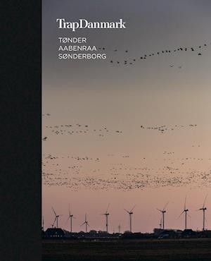 Cover for Trap Danmark · Trap Danmark: Tønder, Aabenraa, Sønderborg (Innbunden bok) [1. utgave] (2021)