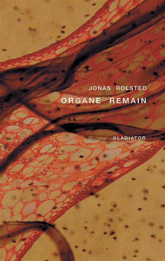 Cover for Jonas Rolsted · Organe Remain (Sewn Spine Book) [1.º edición] (2018)