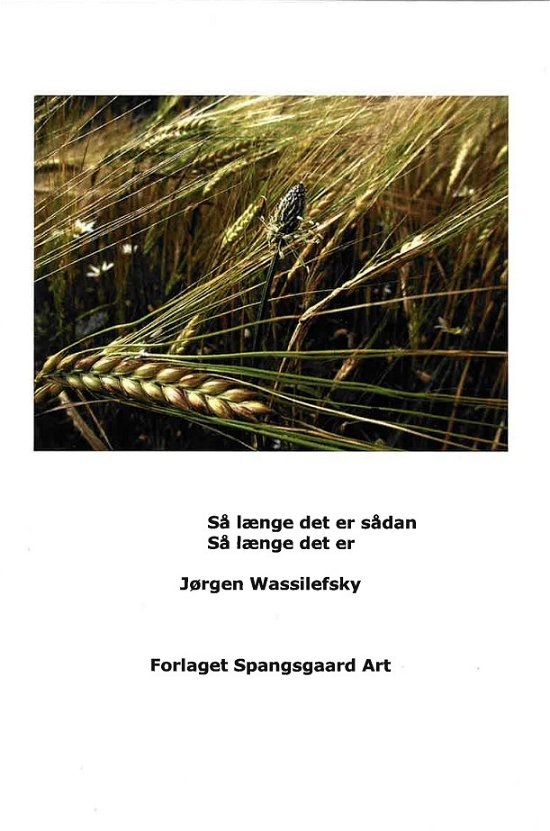 Cover for Jørgen Wassilefsky · Så længe det er sådan / så længe det er (Paperback Book) [1th edição] (2024)