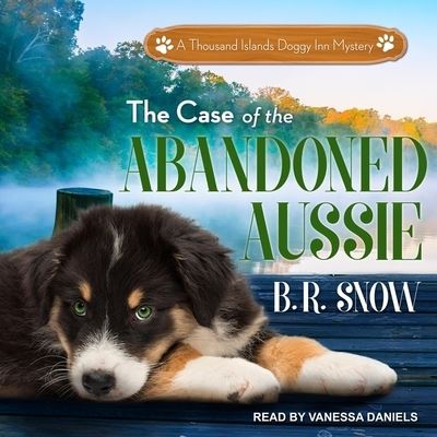 Cover for B R Snow · The Case of the Abandoned Aussie (CD) (2018)