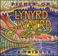 Pickin on Lynyrd Skynyrd / Various - Pickin on Lynyrd Skynyrd / Various - Musik - CMH - 0027297803220 - 1. Dezember 1998