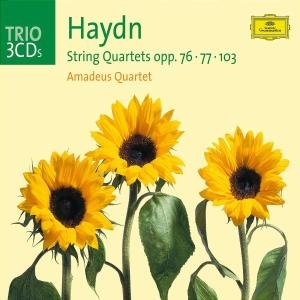 Cover for Amadeus Quartet · Haydn: String Quartets Op. 76- (CD) (2003)
