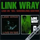 Cover for Link Wray · Live in '85/growling Guitar (CD) (1991)