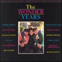 Cover for Various Artists (Collections) · Wonder Years (CD) (2017)