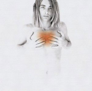 Cover for Francis Dunnery · Fearless (CD) (1994)