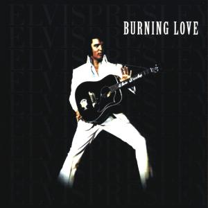 Cover for Elvis Presley · Burning Love (CD) (1999)