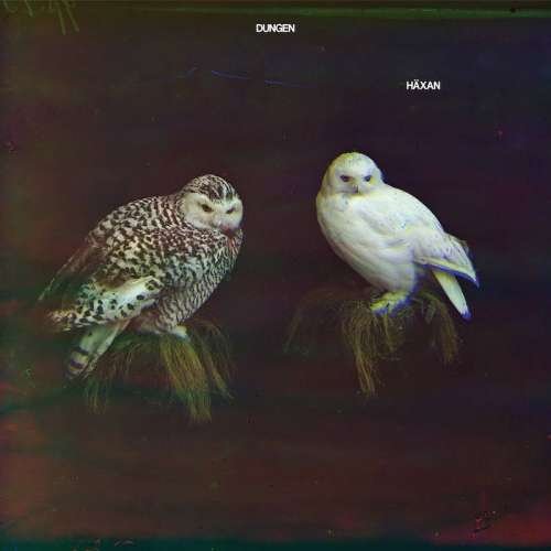 Cover for Dungen · Haxan (CD) (2016)