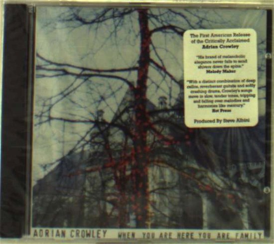 Cover for Adrian Crowley · When You Are Here You Are Family (CD) (2002)