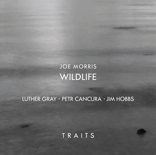 Traits - Morris, Joe / Wildlife - Music - RITI - 0642623201220 - June 22, 2011