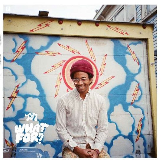 Cover for Toro y Moi · What For (CD) (2015)