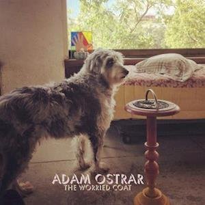 Cover for Adam Ostrar · Worried Coat (LP) (2021)
