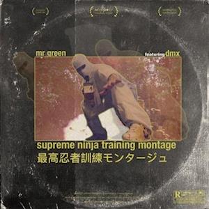 Cover for Mr. Green · Supreme Ninja Training Montage Feat. Dmx (LP) (2021)