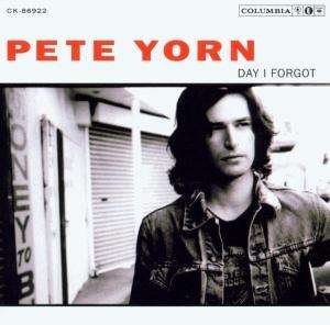 Cover for Pete Yorn · Day I Forgot (CD) (2003)